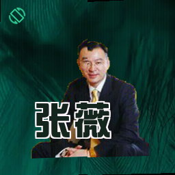 张薇